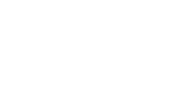 La Fête Hiramatsu